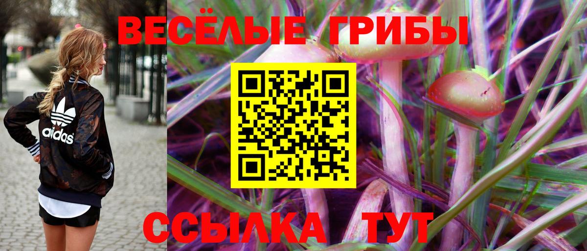 Владикавказ  Галлюциногенные грибы Cubensis  Вход с VPN 